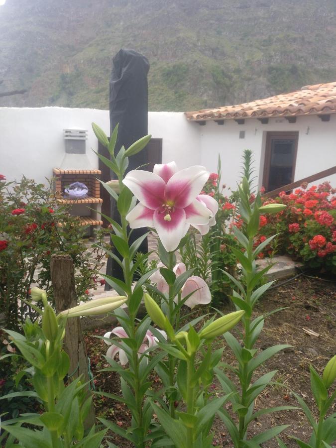 Casa La Plaza Villa Agulo Luaran gambar